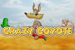 Sloto'Cash Casino background