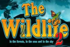 Sloto'Cash Casino background