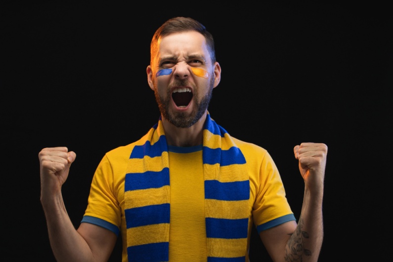 Swedish sport fan