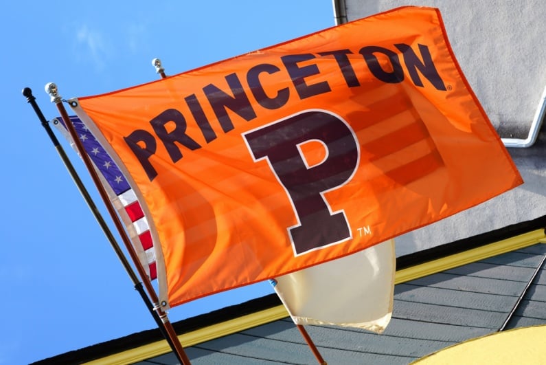 Princeton flag