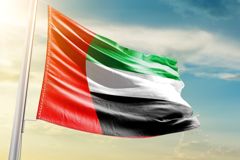 UAE flag