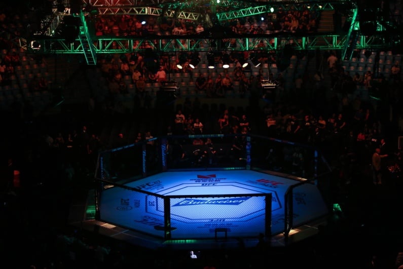 UFC octagon