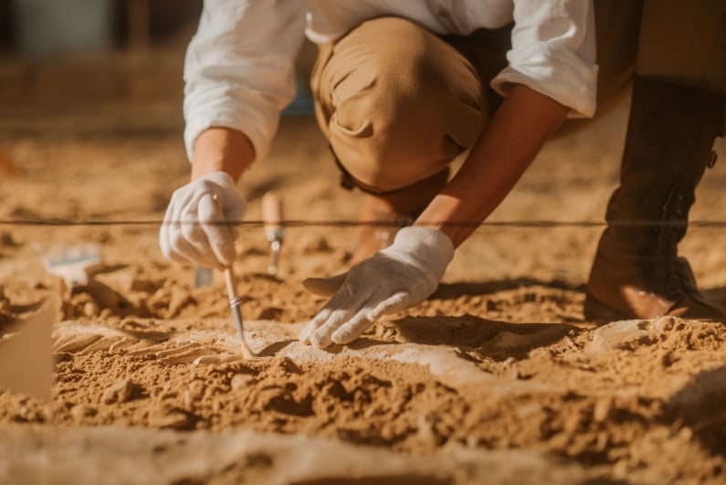 Archaeologist