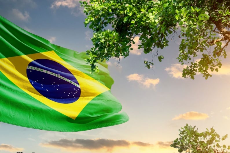 Brazil flag