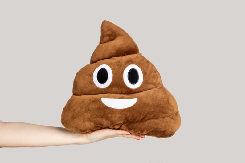 Poop emoji pillow