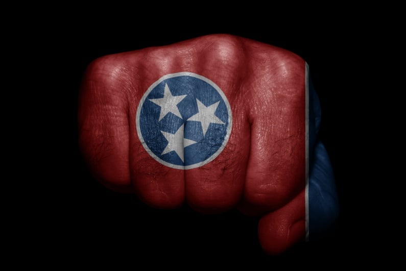 Fist painted Tennessee flag