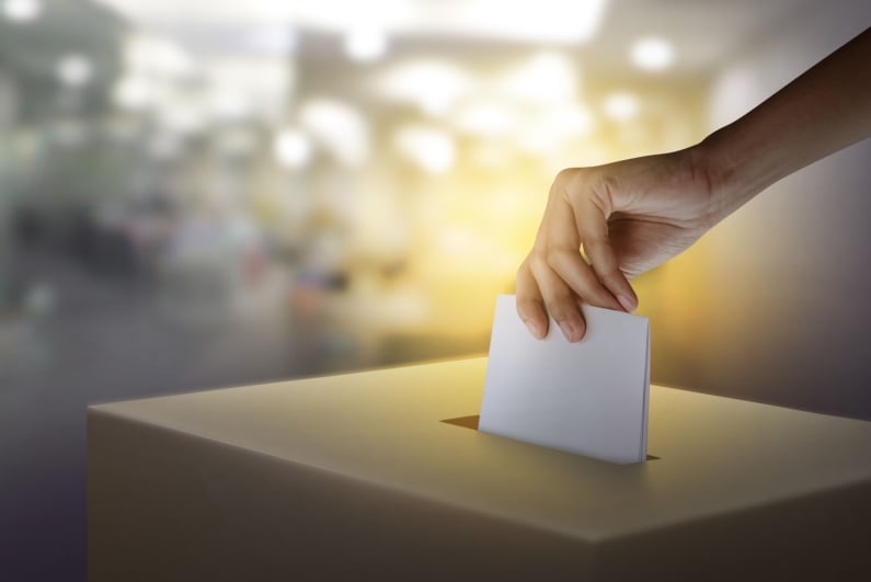 Person voting in box