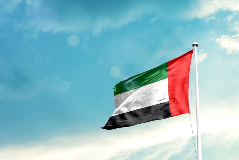 UAE flag