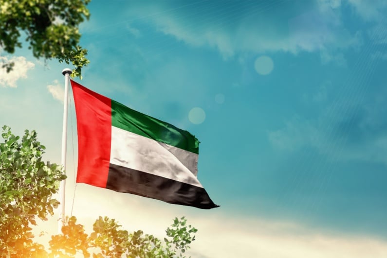 UAE flag