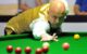 Snooker Player Mark King Gets Five-Year Match-Fixing Ban, Fined £68k