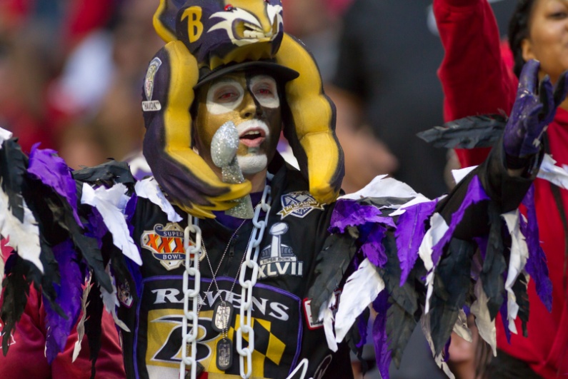 Wildly dressed Baltimore Ravens fan