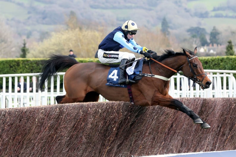 Horse jumping obstacle at Cheltenham Racecourse